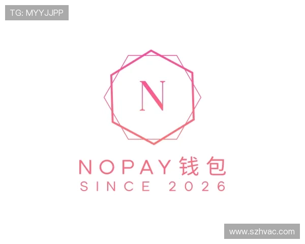 发现NOPAY钱包